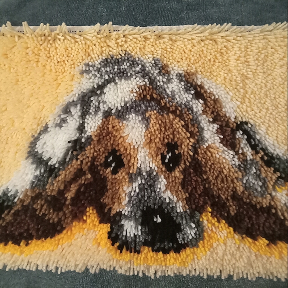 Latch Hook Rug craft